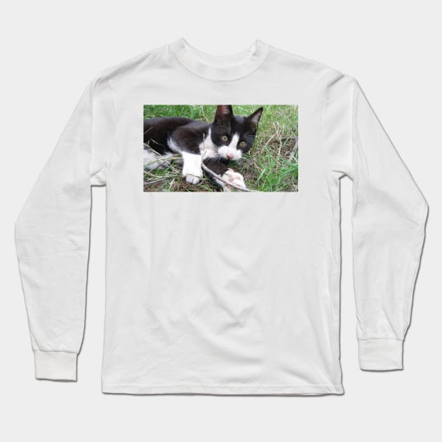 Playful Cat Long Sleeve T-Shirt by redneckpoet